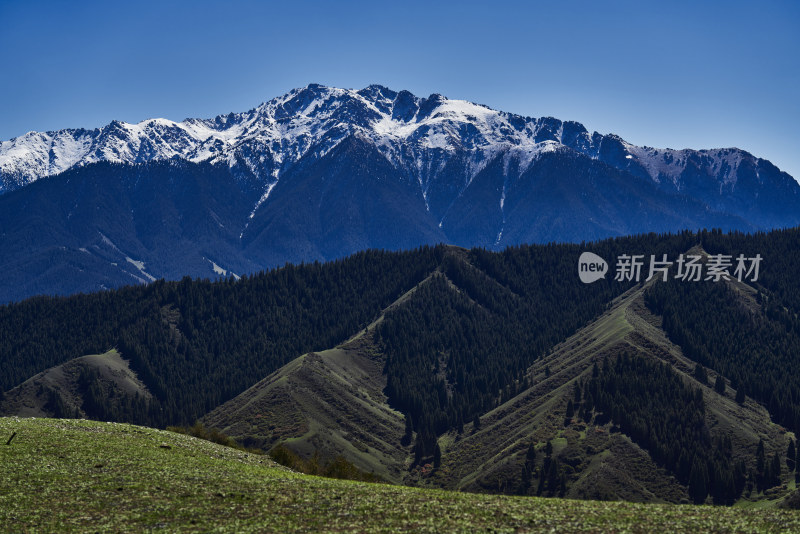 航拍雪山森林