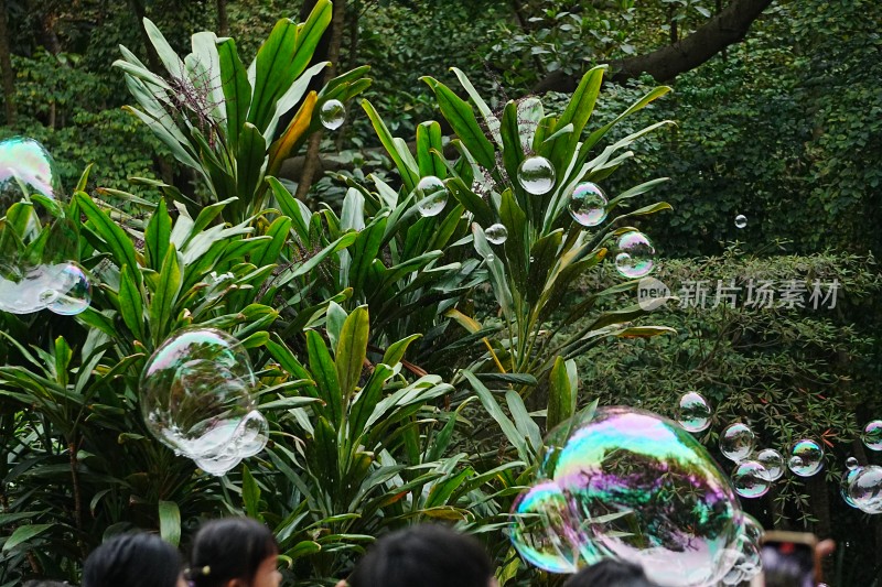 绿植间飘浮的彩色泡泡