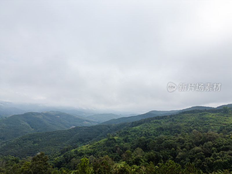 云雾笼罩下的葱郁山林鸟瞰全景