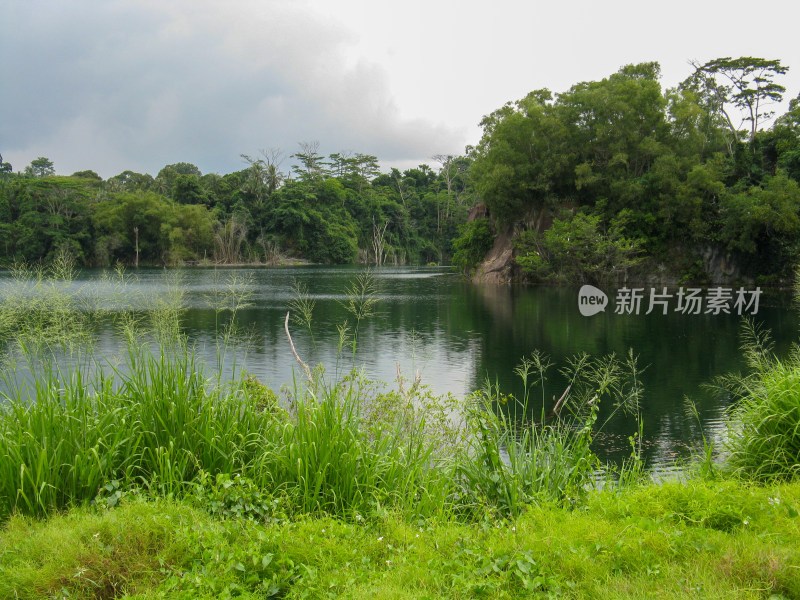 新加坡乌敏岛内的矿坑湖泊