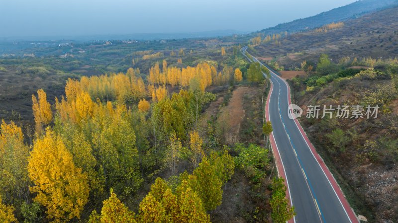 秋天乡村自然风景公路交通