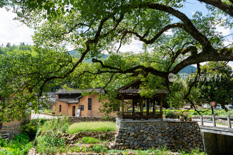 浙江丽水松阳石仓古村古民居