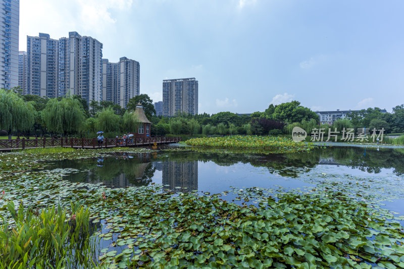 武汉关山荷兰风情园风景