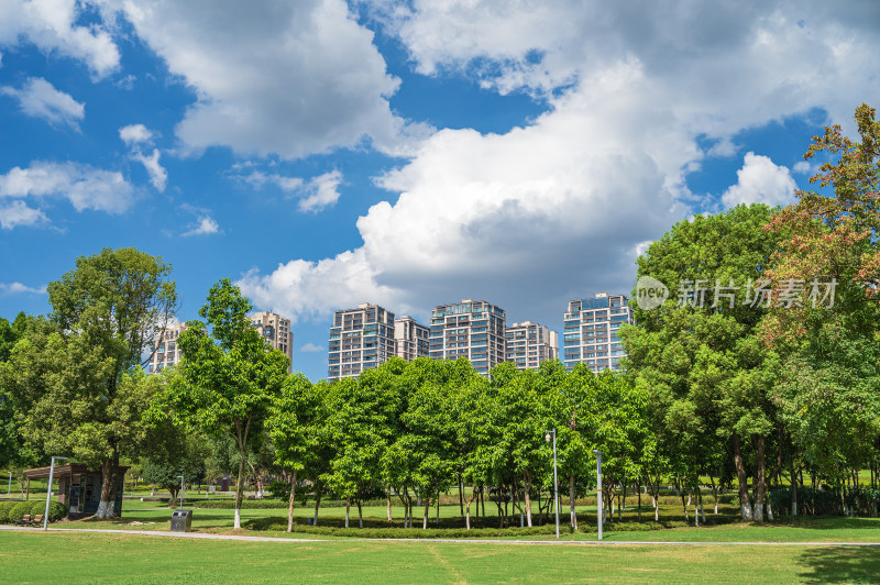 重庆中央公园绿色大草坪与周围的住宅建筑