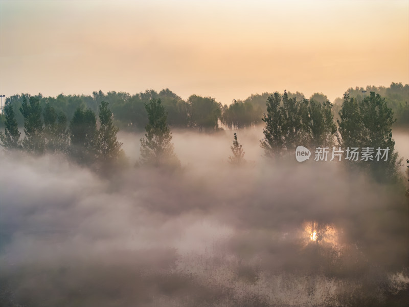 晨雾笼罩的树林与小路航拍