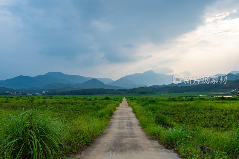 高山田野景观