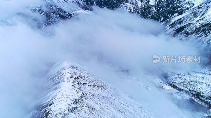 川西四姑娘山巴朗山