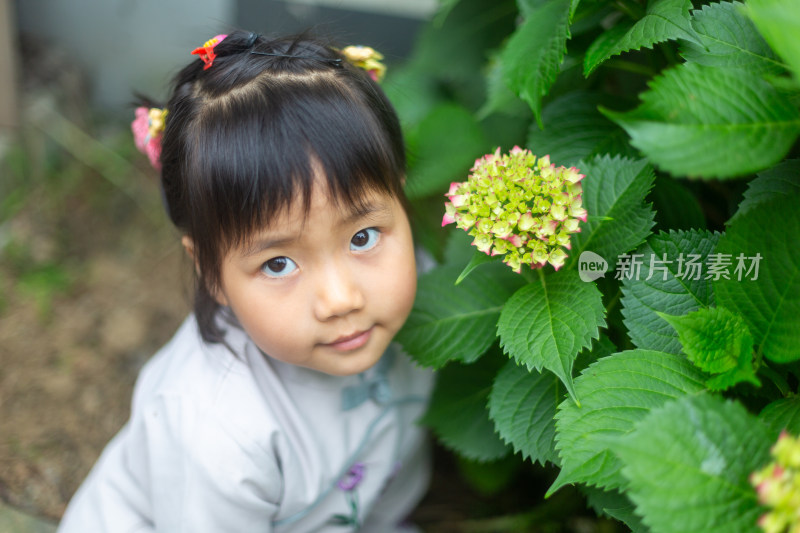 花丛里的漂亮小女孩 赏花看海闻花