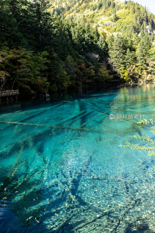 九寨沟五花海