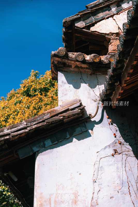 云南旅游大理洱海蒙自弥勒建水元阳梯田景区