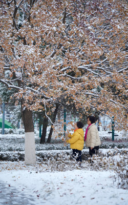 下雪天在公园拍照留念的人