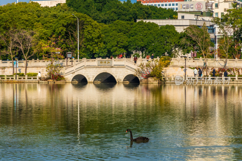 福州黎明湖公园景色