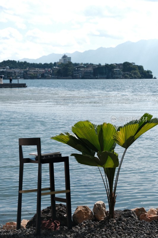 湖畔椅子与绿植风景