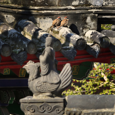 寂静的寺院