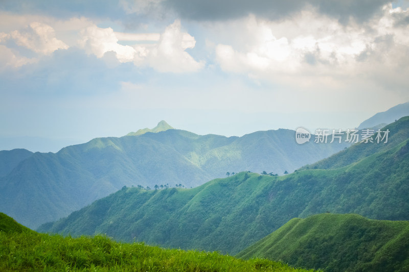 江西武功山高山草甸