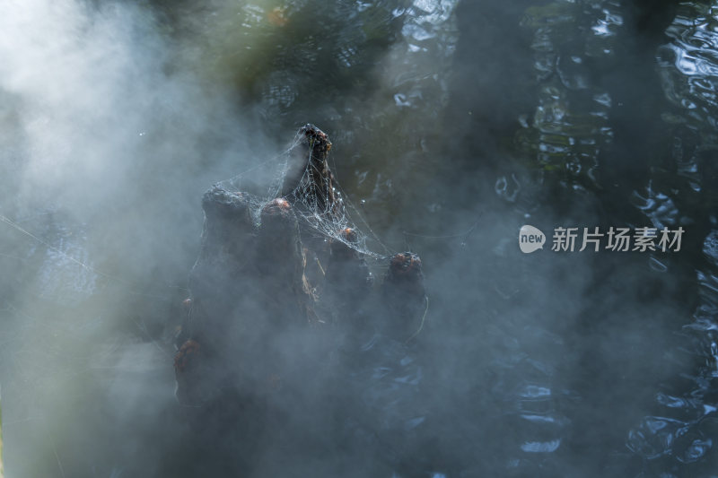 武汉东湖落雁峰景区风景