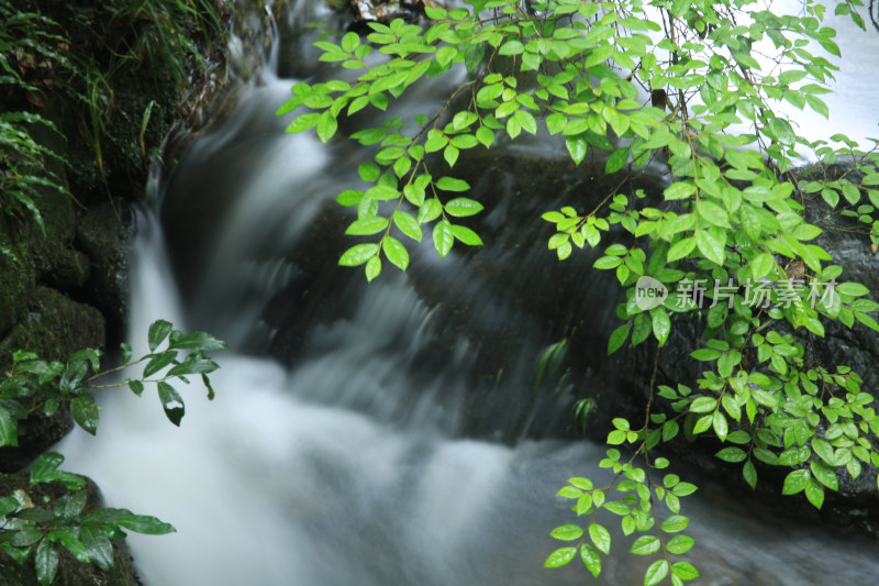 乡下小溪流水