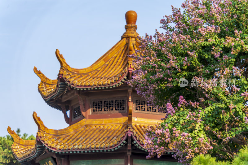 武汉武昌区黄鹤楼公园风景