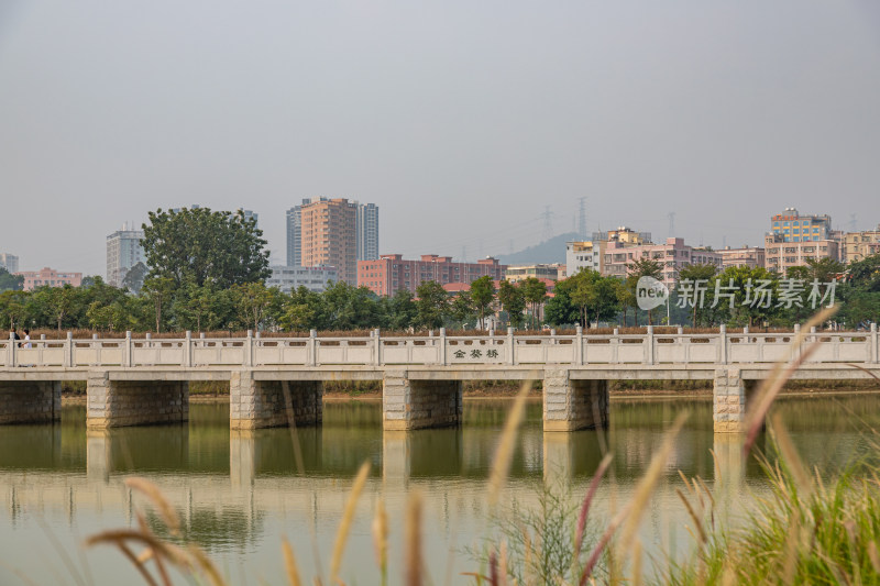 深圳市石岩湿地公园