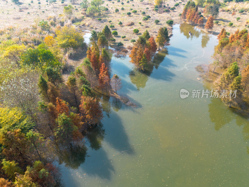 福州多彩树林沿水域分布的自然风景航拍