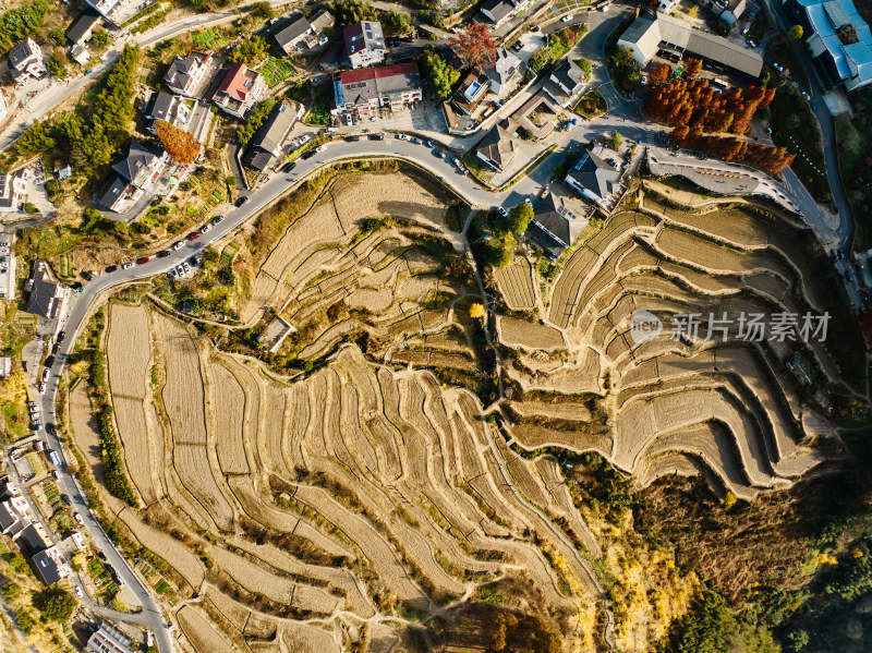 秋天的乡村美景