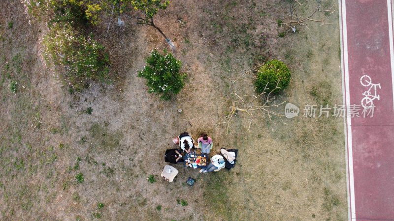 广东东莞：春光明媚 人们在草地上野餐