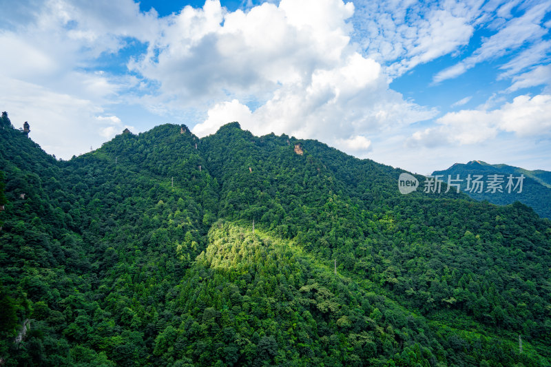 中国湖南张家界景区奇特山峰与茂密森林