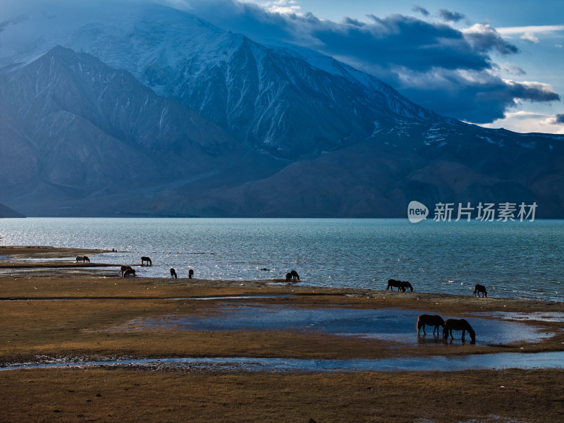 清晨时分的雪山湖泊