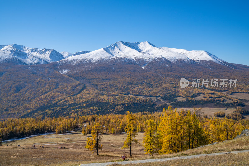 新疆北疆阿勒泰秋日雪山