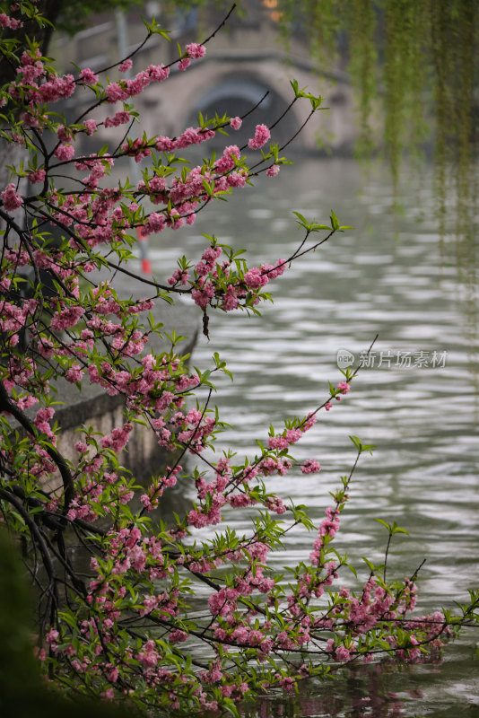 西湖风光