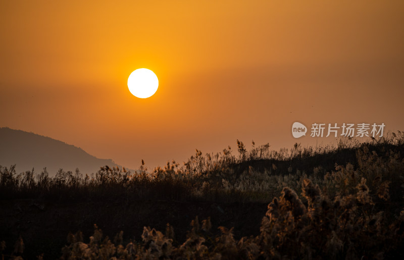 日落时分远山与植物景观