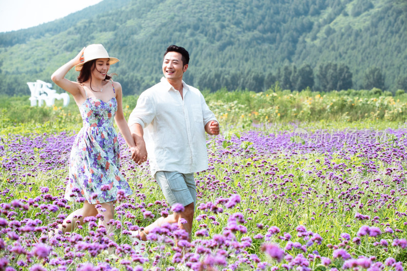 青年夫妇手牵手走在花海里