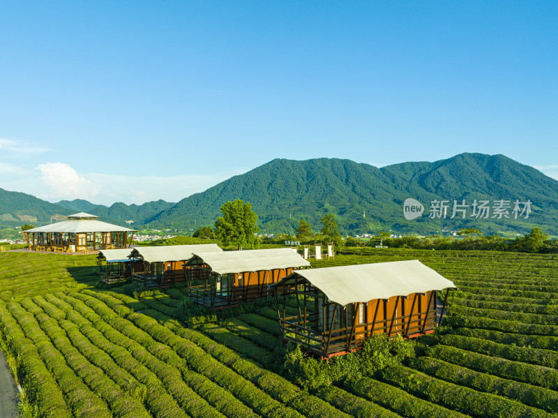 航拍夏季晴天安徽省宣城市路西空中茶园风光