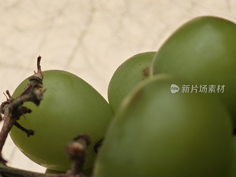 青提特写展示果实饱满的青提近景