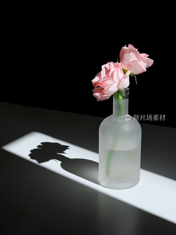 阳光下花瓶里的粉色玫瑰花