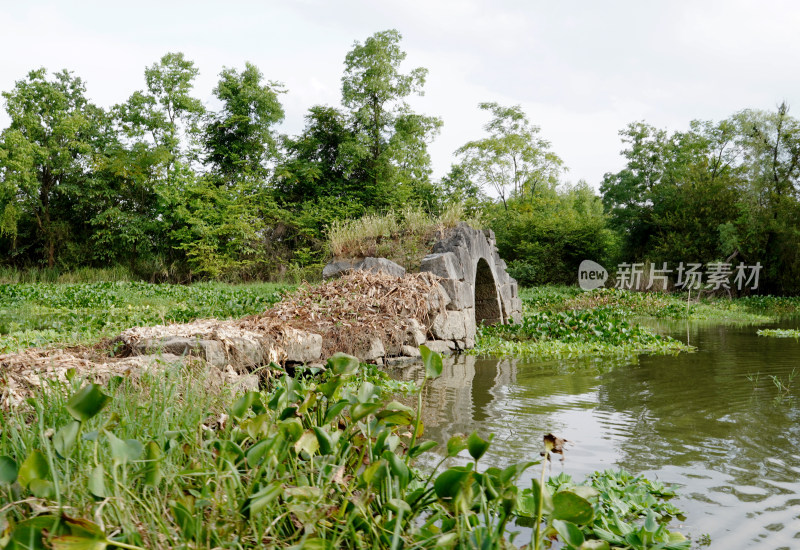 桂林会仙湿地景观