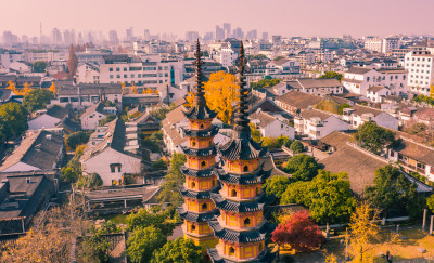 苏州定慧寺银杏航拍