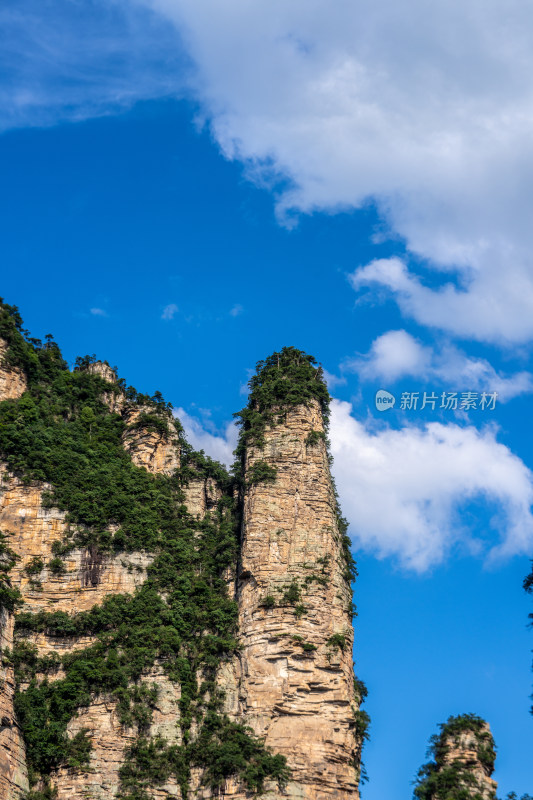 中国湖南张家界景区奇特山峰与茂密森林