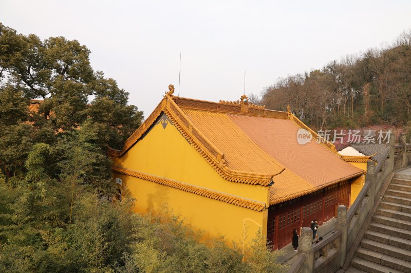 黄瓦古建筑搭配周边绿植的景观