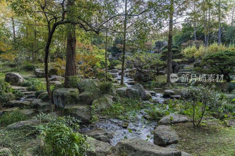 杭州西子湖畔杭州花圃风景