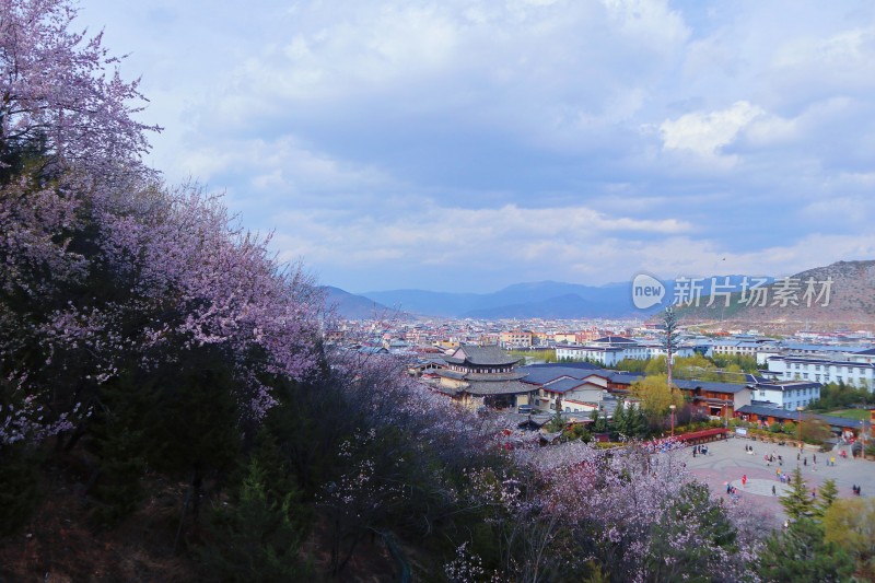 大佛寺山顶的风景