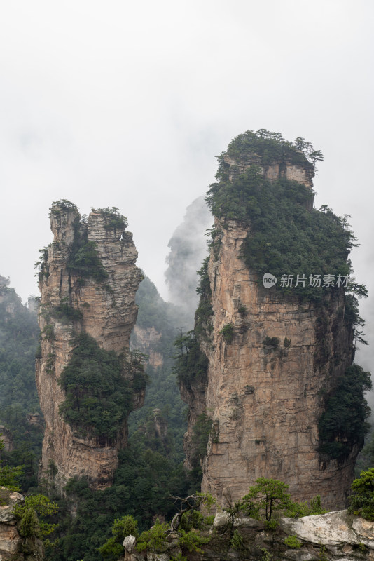 云雾缭绕的张家界奇峰异石景观