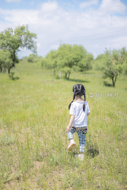 夏天行走在草地上的小女孩