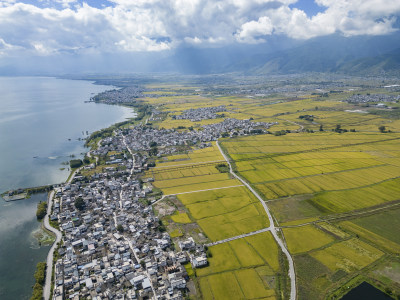 大理稻田航拍风光