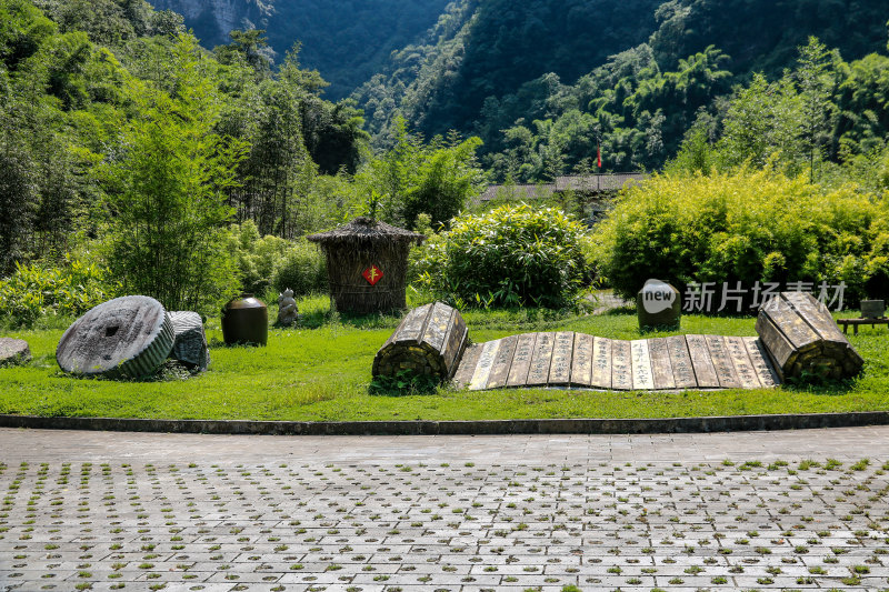 湖北宜昌三峡竹海风景区，自然风光，竹海