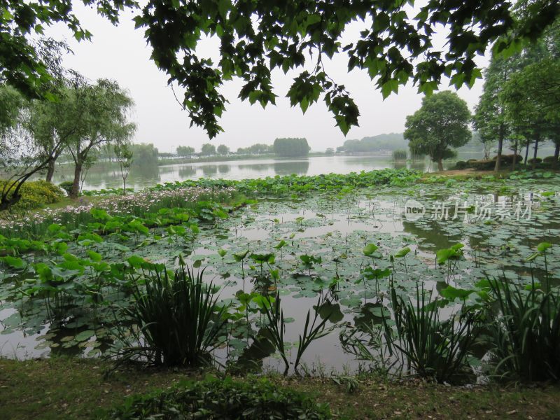 江苏无锡太湖鼋头渚风景区