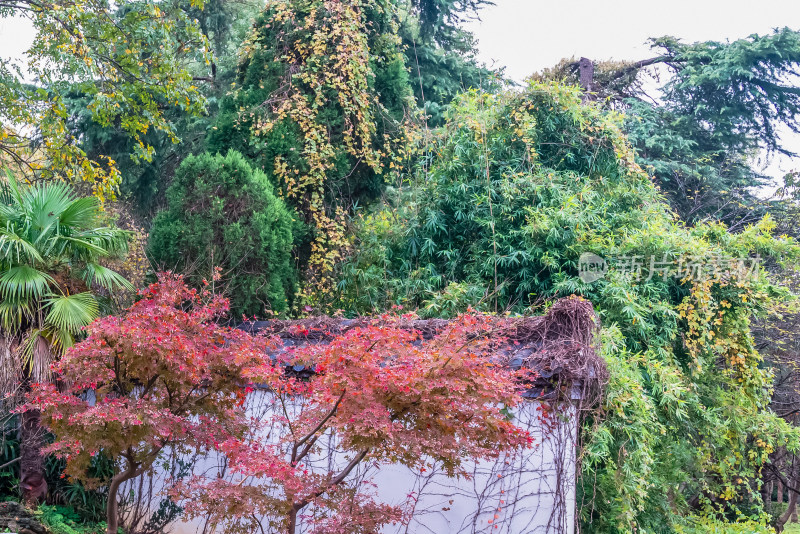 南京钟山风景名胜区明孝陵园林风景