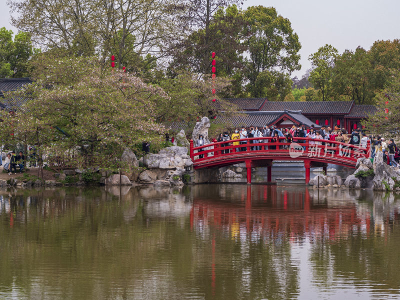 武汉东湖风景区景点风光