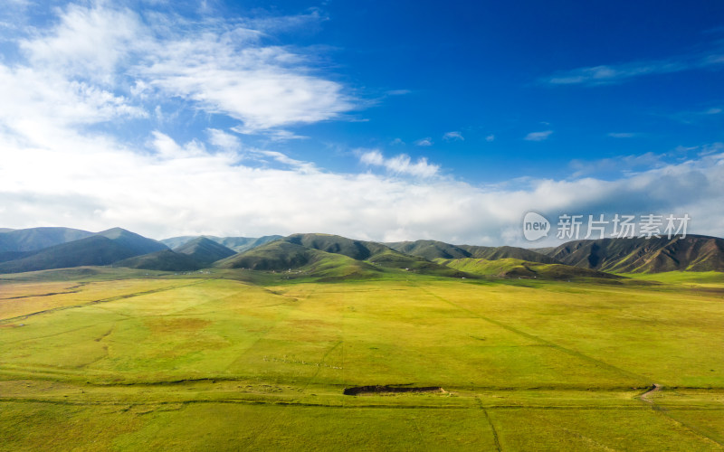 青海祁连山脉草原美景