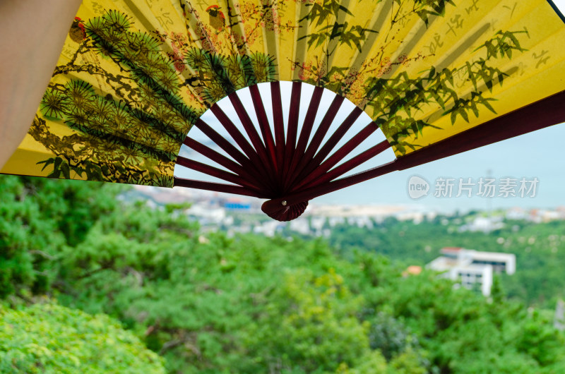 登上山峰，给一把折扇特写